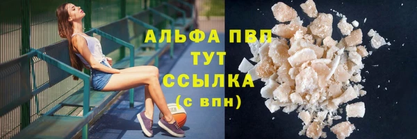 не бодяженный Иннополис