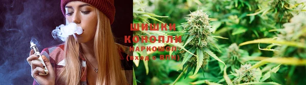 не бодяженный Иннополис