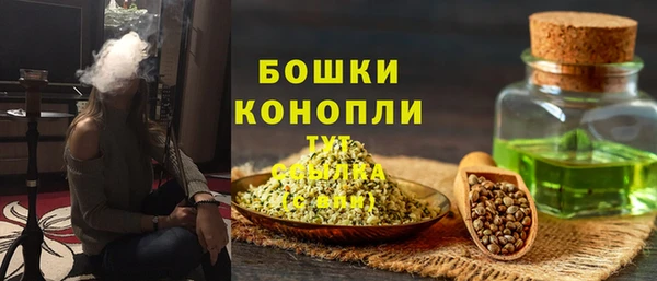 не бодяженный Иннополис